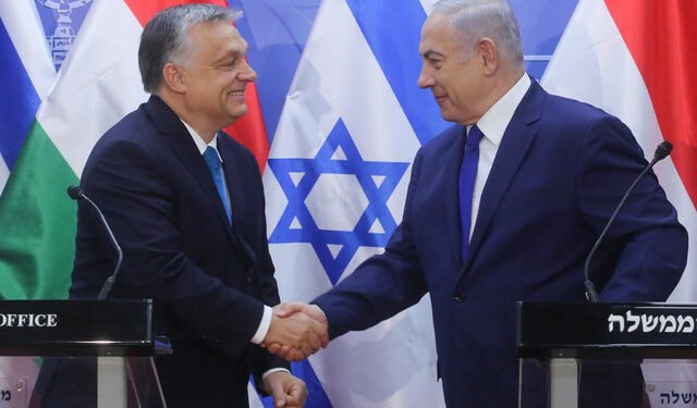 אורן