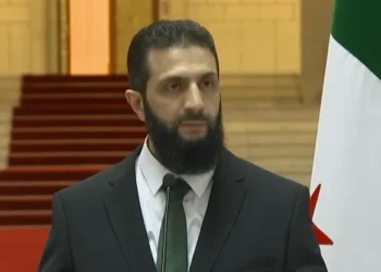 צילום: ארכיון
