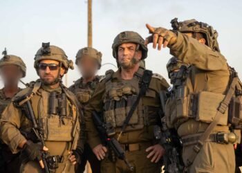 אייל זמיר צהל