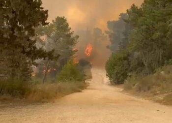 שוב: להבות ברחבי הארץ והרי ירושלים – יישובים פונו, כבישים נסגרו