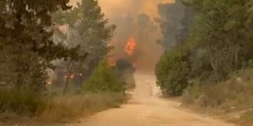 שוב: להבות ברחבי הארץ והרי ירושלים – יישובים פונו, כבישים נסגרו