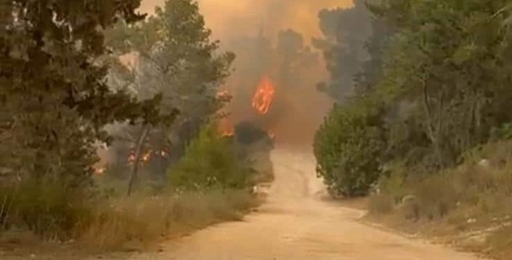 שוב: להבות ברחבי הארץ והרי ירושלים – יישובים פונו, כבישים נסגרו