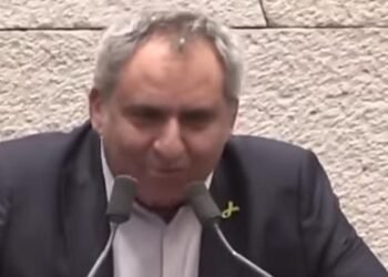 זאב אלקין