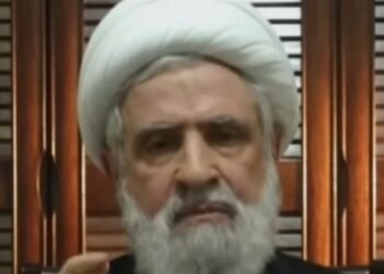 נעים קאסם חיזבאללה