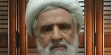 נעים קאסם חיזבאללה