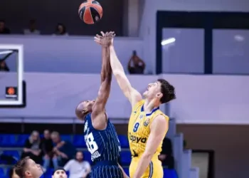 מכבי כדורסל