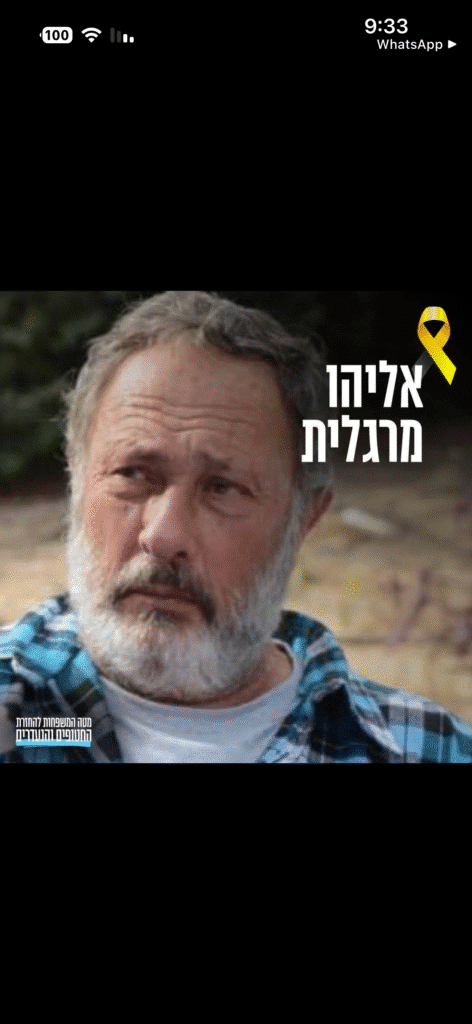 אליהו מרגלית